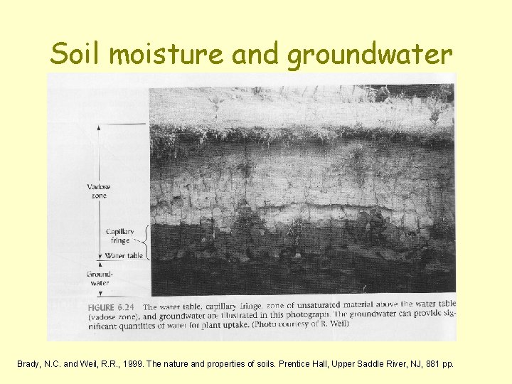 Soil moisture and groundwater Brady, N. C. and Weil, R. R. , 1999. The