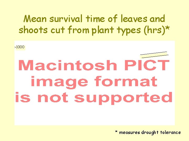 Mean survival time of leaves and shoots cut from plant types (hrs)* >1000 *