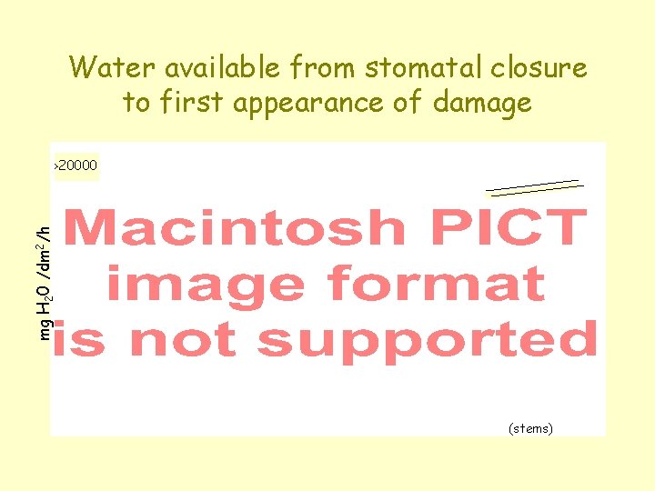 Water available from stomatal closure to first appearance of damage mg H 20 /dm
