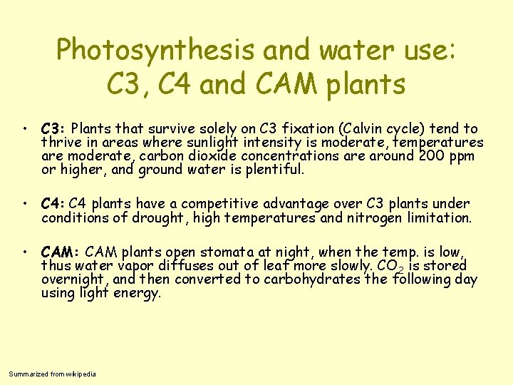 Photosynthesis and water use: C 3, C 4 and CAM plants • C 3: