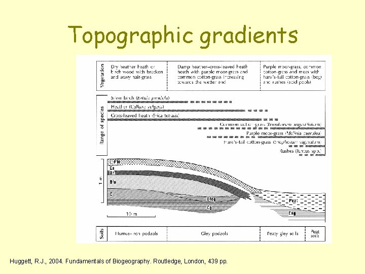 Topographic gradients Huggett, R. J. , 2004. Fundamentals of Biogeography. Routledge, London, 439 pp.