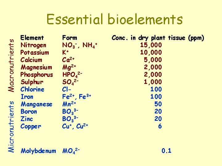 Micronutrients Macronutrients Essential bioelements Element Nitrogen Potassium Calcium Magnesium Phosphorus Sulphur Chlorine Iron Manganese