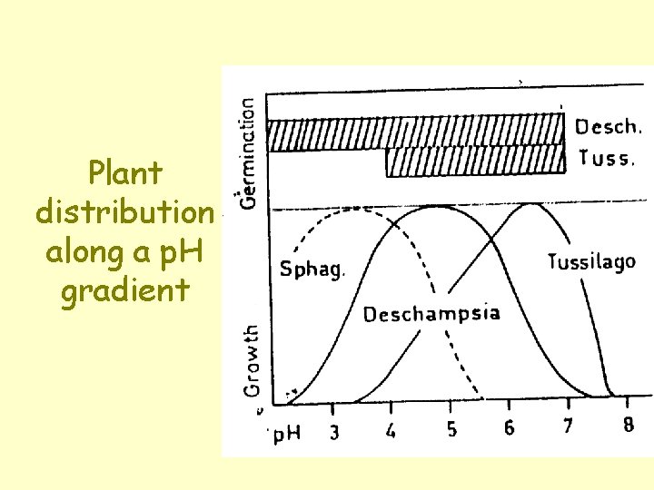 Plant distribution along a p. H gradient 