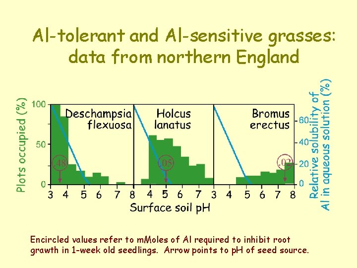 Al-tolerant and Al-sensitive grasses: data from northern England Encircled values refer to m. Moles