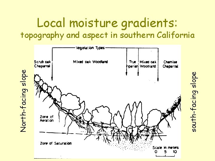 Local moisture gradients: south-facing slope North-facing slope topography and aspect in southern California 