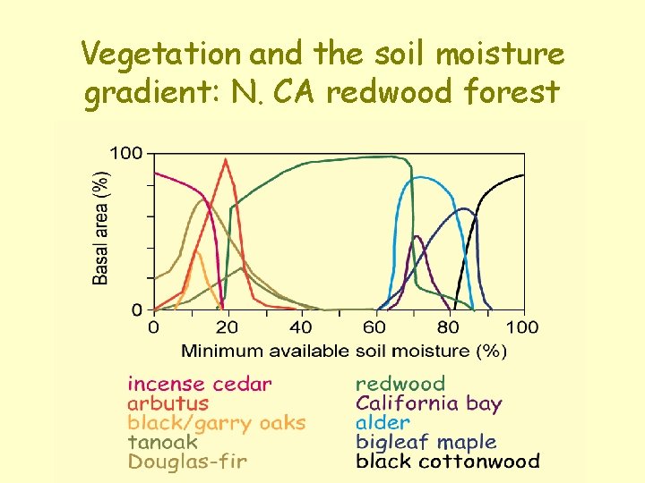 Vegetation and the soil moisture gradient: N. CA redwood forest 