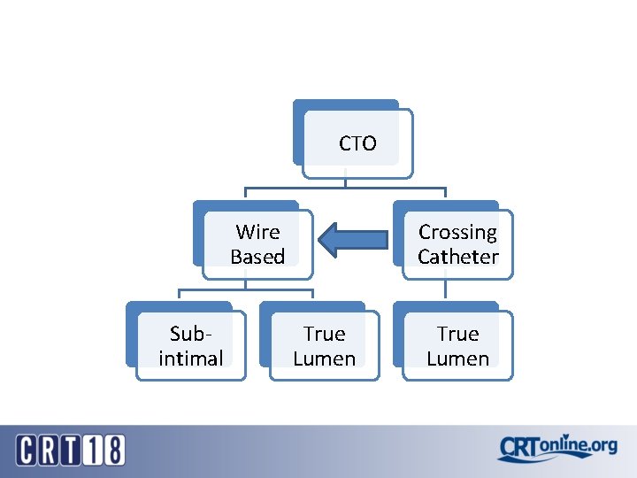 CTO Wire Based Subintimal Crossing Catheter True Lumen 