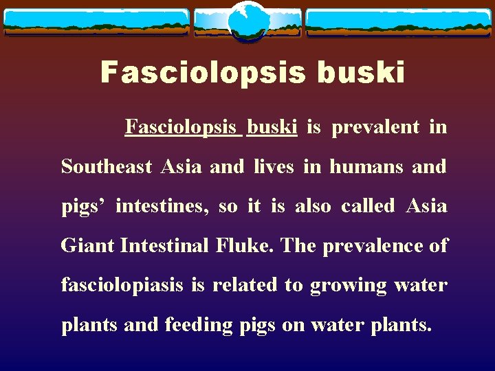 Fasciolopsis buski is prevalent in Southeast Asia and lives in humans and pigs’ intestines,