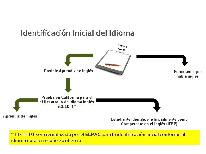 Identificación Inicial del Idioma Idiom a Nata l Posible Aprendiz de Inglés Estudiante que