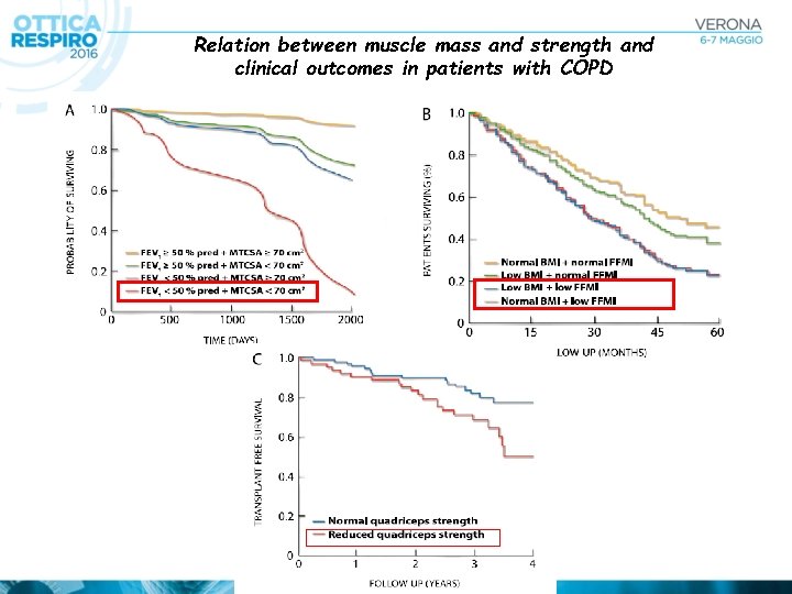 Relation between muscle mass and strength and clinical outcomes in patients with COPD 