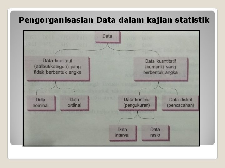 Pengorganisasian Data dalam kajian statistik 