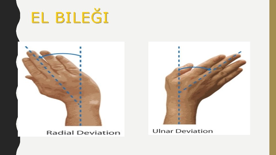 EL BILEĞI 