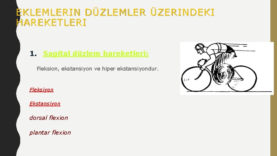 EKLEMLERIN DÜZLEMLER ÜZERINDEKI HAREKETLERI 1. Sagital düzlem hareketleri: Fleksion, ekstansiyon ve hiper ekstansiyondur. Fleksiyon