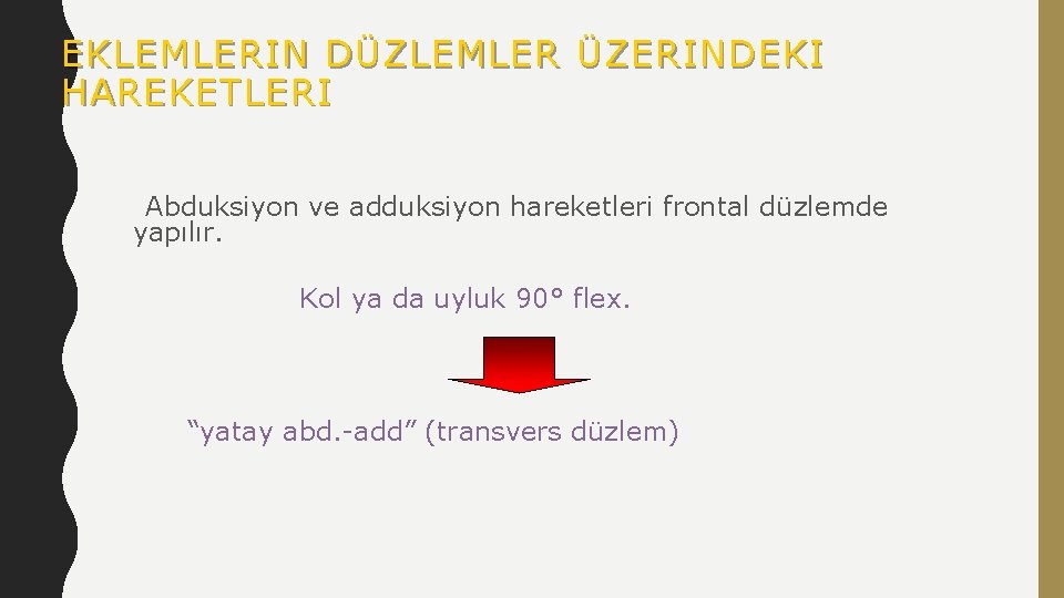 EKLEMLERIN DÜZLEMLER ÜZERINDEKI HAREKETLERI Abduksiyon ve adduksiyon hareketleri frontal düzlemde yapılır. Kol ya da