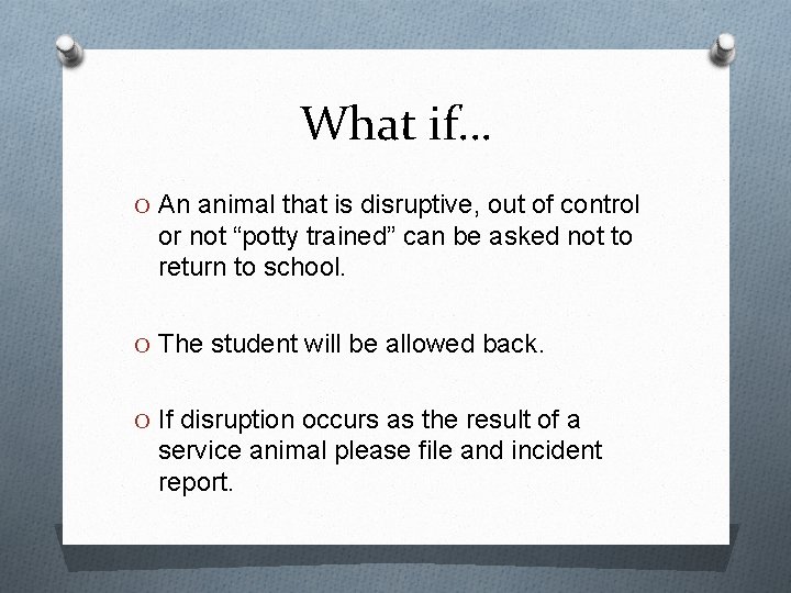 What if… O An animal that is disruptive, out of control or not “potty
