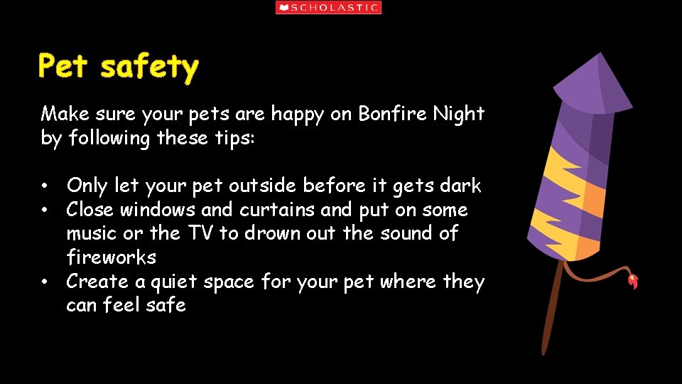 Pet safety Make sure your pets are happy on Bonfire Night by following these