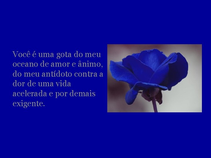 Você é uma gota do meu oceano de amor e ânimo, do meu antídoto