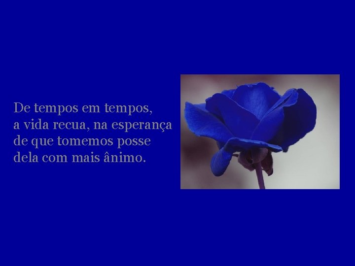 De tempos em tempos, a vida recua, na esperança de que tomemos posse dela