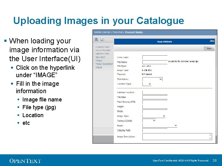 Uploading Images in your Catalogue § When loading your image information via the User