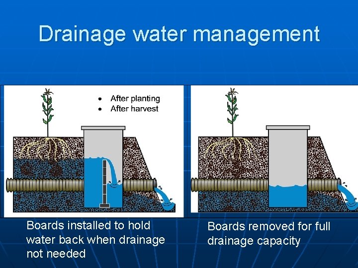 Drainage water management • Before field operations Boards installed to hold water back when
