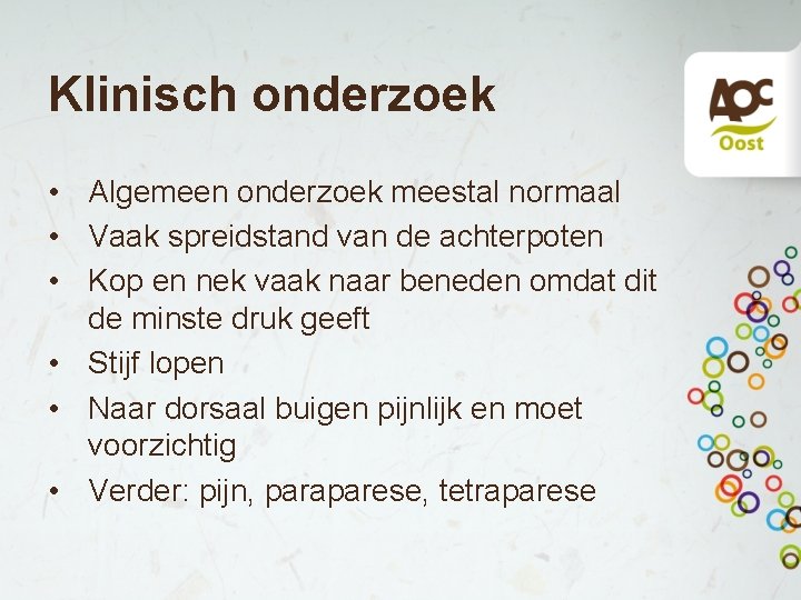 Klinisch onderzoek • Algemeen onderzoek meestal normaal • Vaak spreidstand van de achterpoten •