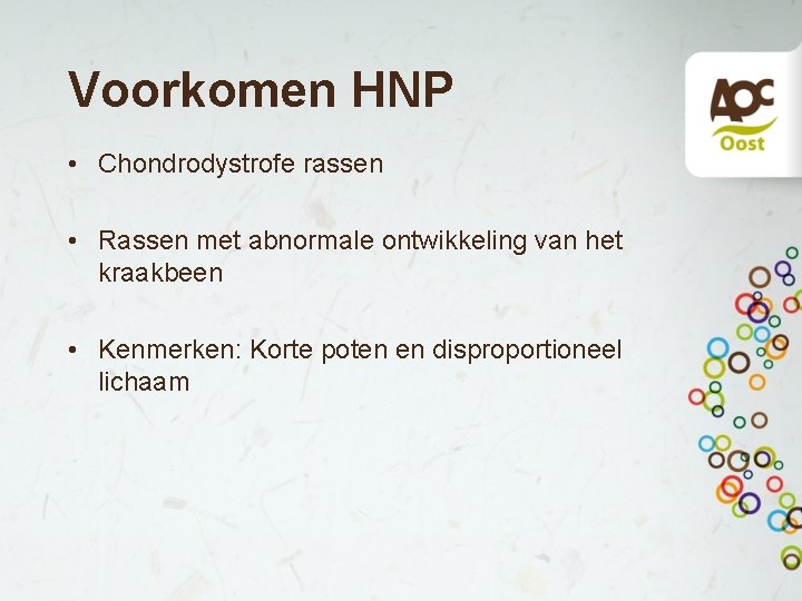 Voorkomen HNP • Chondrodystrofe rassen • Rassen met abnormale ontwikkeling van het kraakbeen •