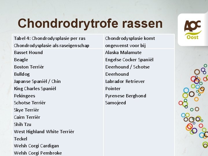 Chondrodrytrofe rassen Tabel 4: Chondrodysplasie per ras Chondrodysplasie als raseigenschap Basset Hound Beagle Boston