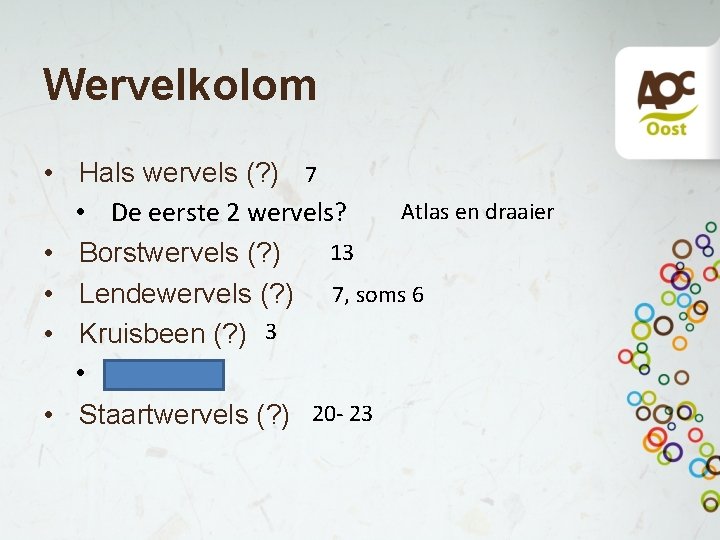 Wervelkolom • Hals wervels (? ) 7 Atlas en draaier • De eerste 2