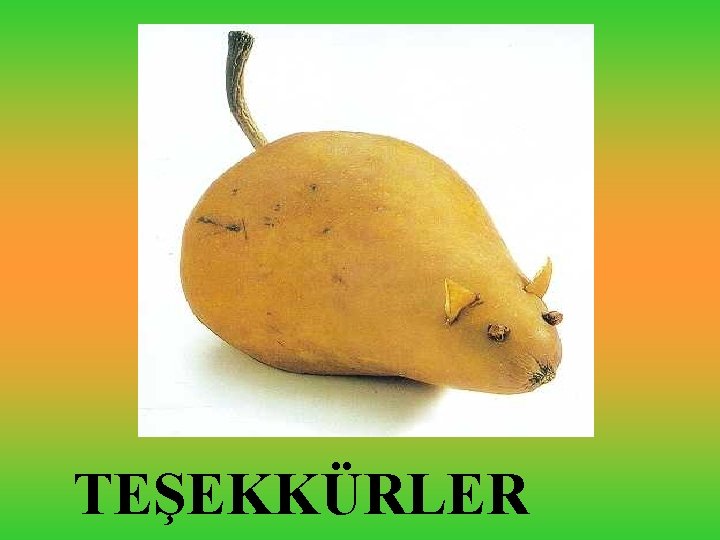 TEŞEKKÜRLER 