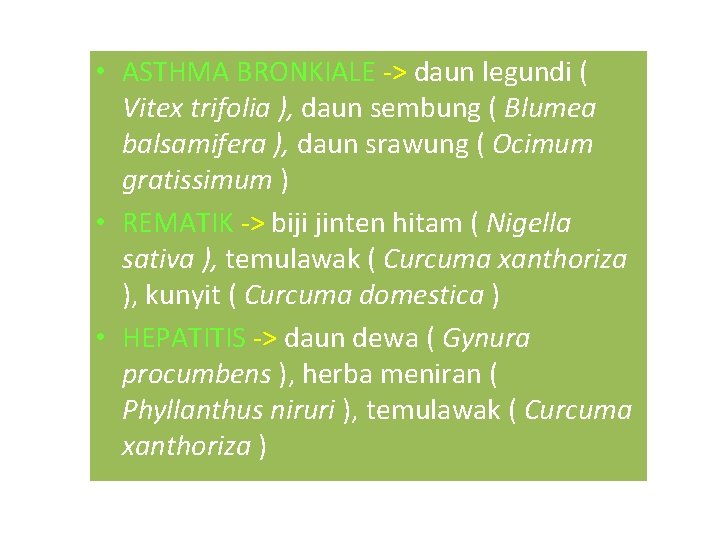  • ASTHMA BRONKIALE -> daun legundi ( Vitex trifolia ), daun sembung (
