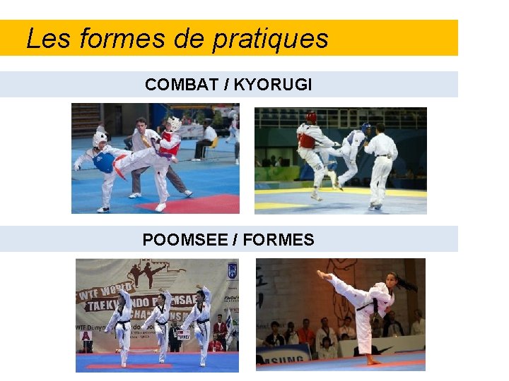 Les formes de pratiques COMBAT / KYORUGI POOMSEE / FORMES 