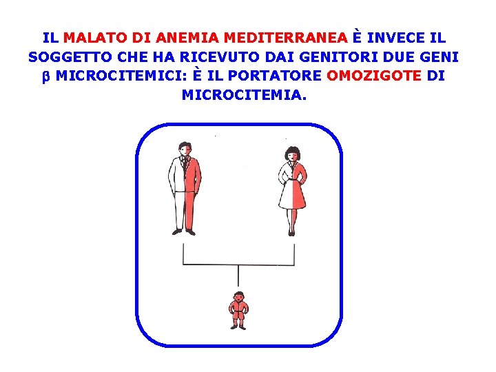 IL MALATO DI ANEMIA MEDITERRANEA È INVECE IL SOGGETTO CHE HA RICEVUTO DAI GENITORI