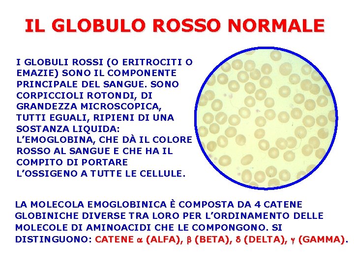 IL GLOBULO ROSSO NORMALE I GLOBULI ROSSI (O ERITROCITI O EMAZIE) SONO IL COMPONENTE