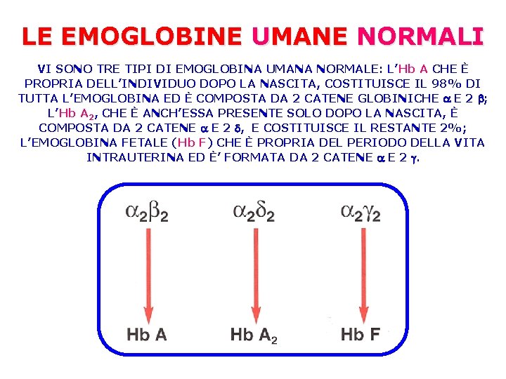 LE EMOGLOBINE UMANE NORMALI VI SONO TRE TIPI DI EMOGLOBINA UMANA NORMALE: L’Hb A