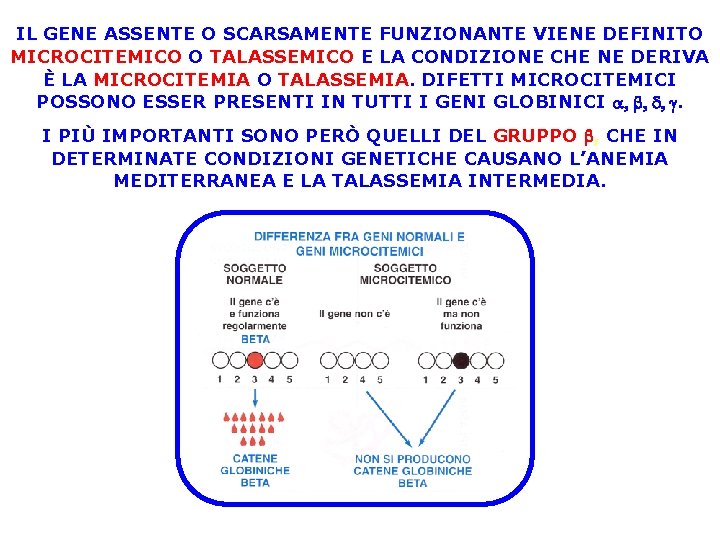 IL GENE ASSENTE O SCARSAMENTE FUNZIONANTE VIENE DEFINITO MICROCITEMICO O TALASSEMICO E LA CONDIZIONE