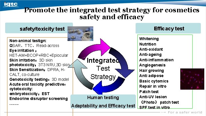 Promote the integrated test strategy for cosmetics safety and efficacy Efficacy test safety/toxicity test