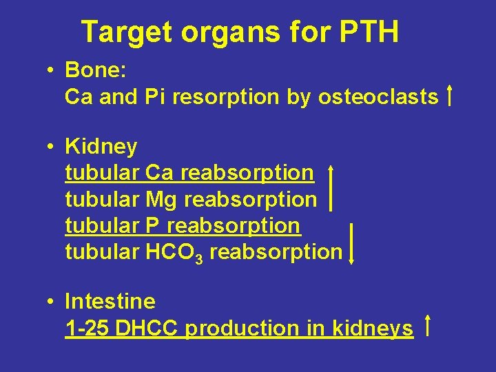 Target organs for PTH • Bone: Ca and Pi resorption by osteoclasts • Kidney