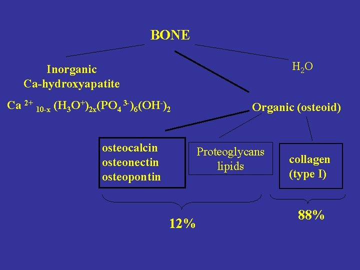 BONE H 2 O Inorganic Ca-hydroxyapatite Ca 2+ 10 -x (H 3 O+)2 x(PO