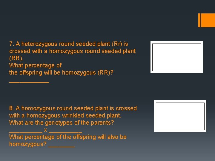 7. A heterozygous round seeded plant (Rr) is crossed with a homozygous round seeded