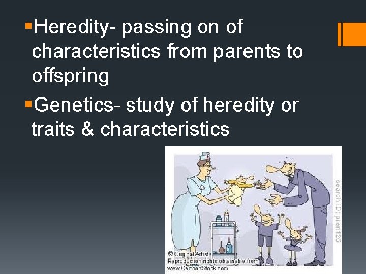 §Heredity- passing on of characteristics from parents to offspring §Genetics- study of heredity or