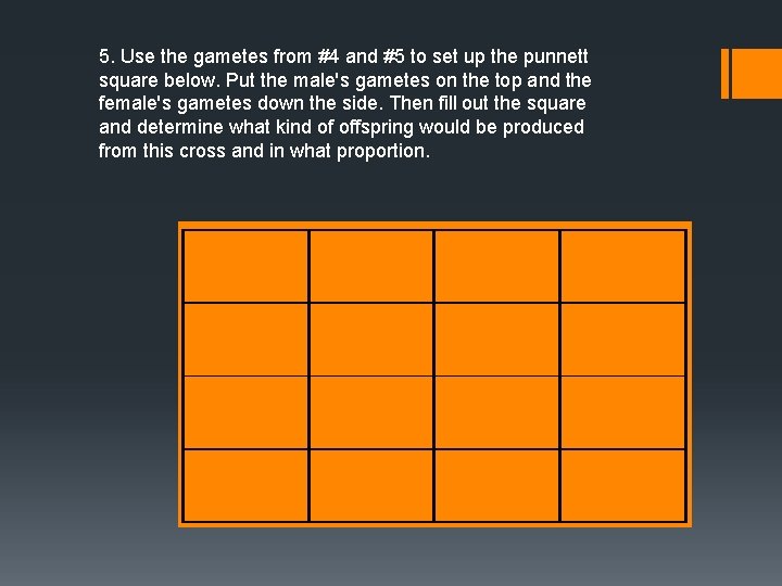 5. Use the gametes from #4 and #5 to set up the punnett square