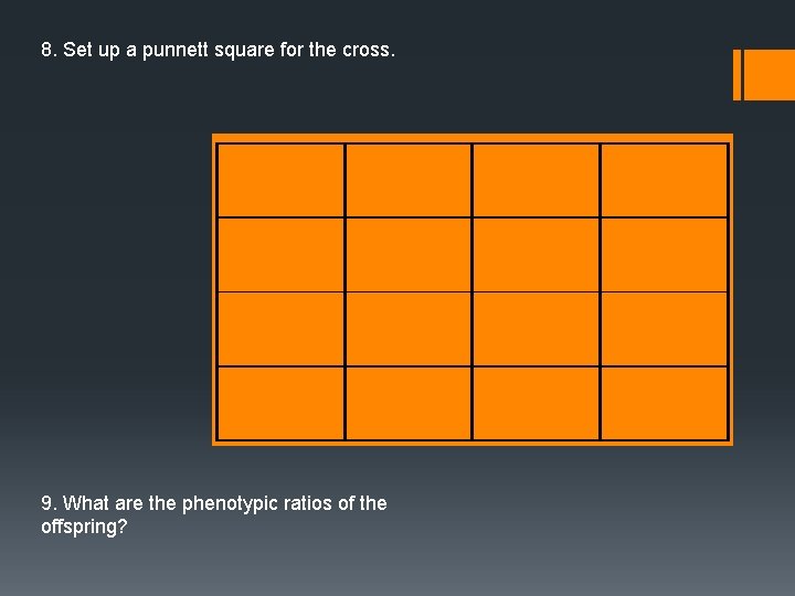 8. Set up a punnett square for the cross. 9. What are the phenotypic