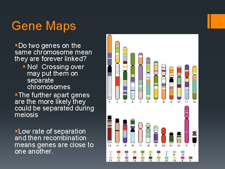 Gene Maps §Do two genes on the same chromosome mean they are forever linked?