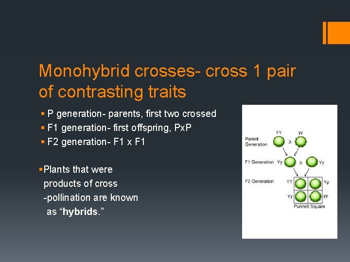 Monohybrid crosses- cross 1 pair of contrasting traits § P generation- parents, first two