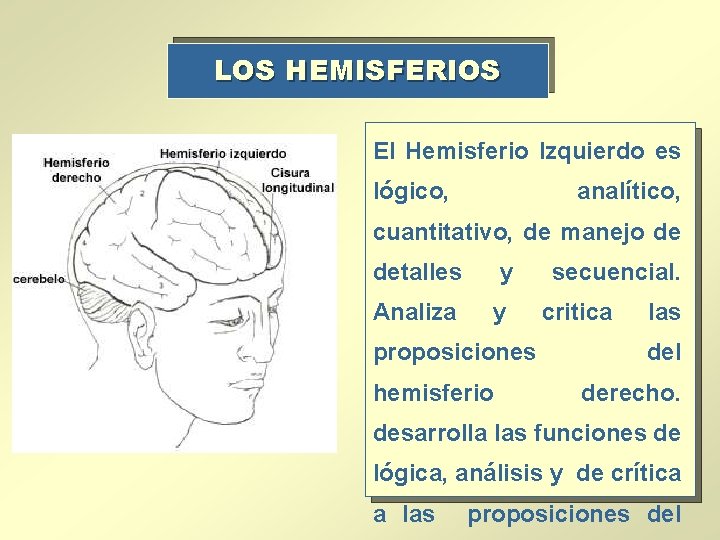 LOS HEMISFERIOS El Hemisferio Izquierdo es lógico, analítico, cuantitativo, de manejo de detalles Analiza