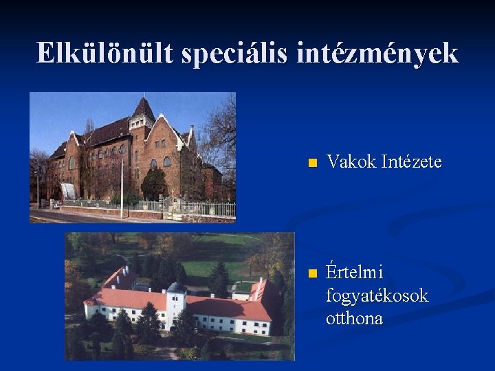 Elkülönült speciális intézmények n Vakok Intézete n Értelmi fogyatékosok otthona 