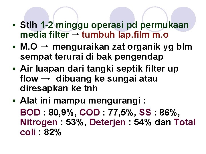 Stlh 1 -2 minggu operasi pd permukaan media filter tumbuh lap. film m. o