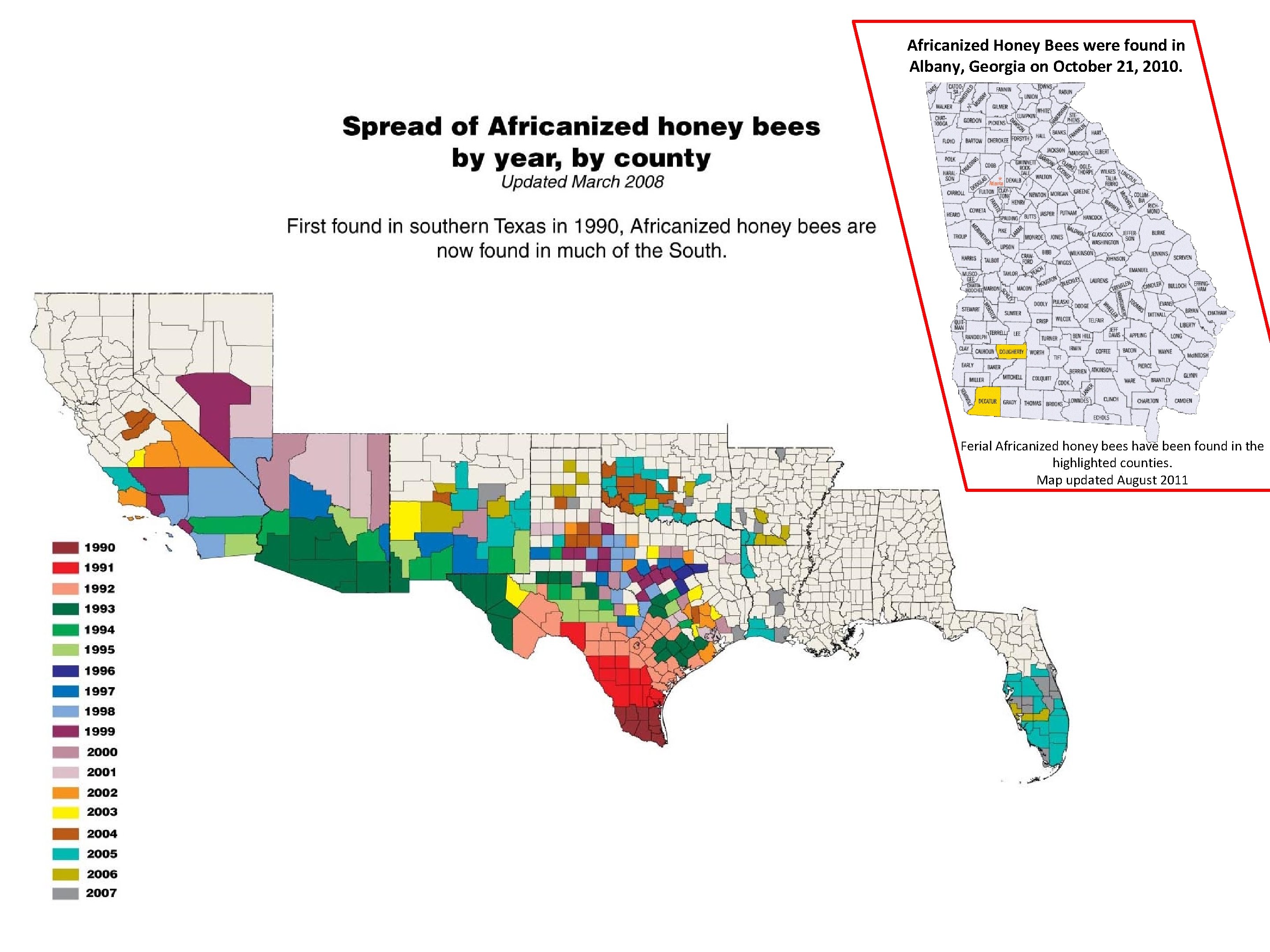 Africanized Honey Bees were found in Albany, Georgia on October 21, 2010. Ferial Africanized