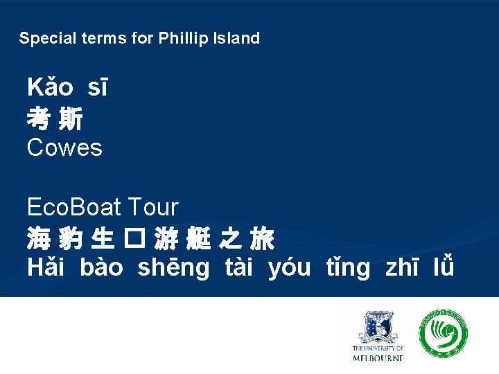 Special terms for Phillip Island Kǎo sī 考 斯 Cowes Eco. Boat Tour 海