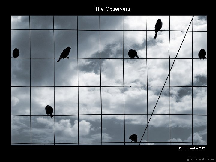 The Observers Ramat Hagolan 2005 gilad. deviantart. com 